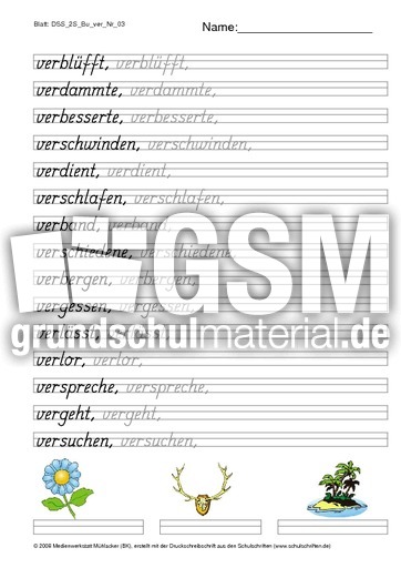 DSS_2S_Bu_ver_Nr_03.pdf